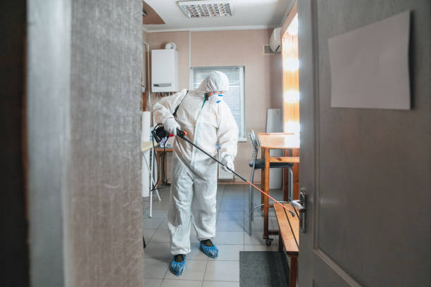 Reliable Sanger, TX Mold Removal Solutions